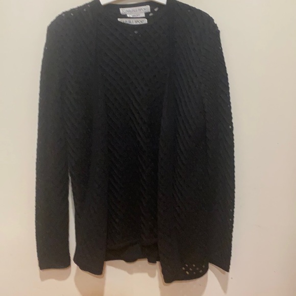 Carlisle 2 Pc. SweaterSet 100%Silk Open Weave NWOT - Picture 3 of 9